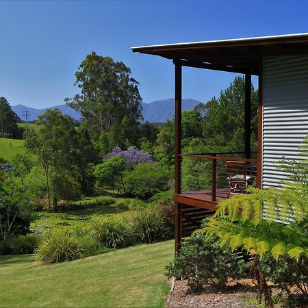 Lilypad Luxury Cabins Bellingen Ngoại thất bức ảnh