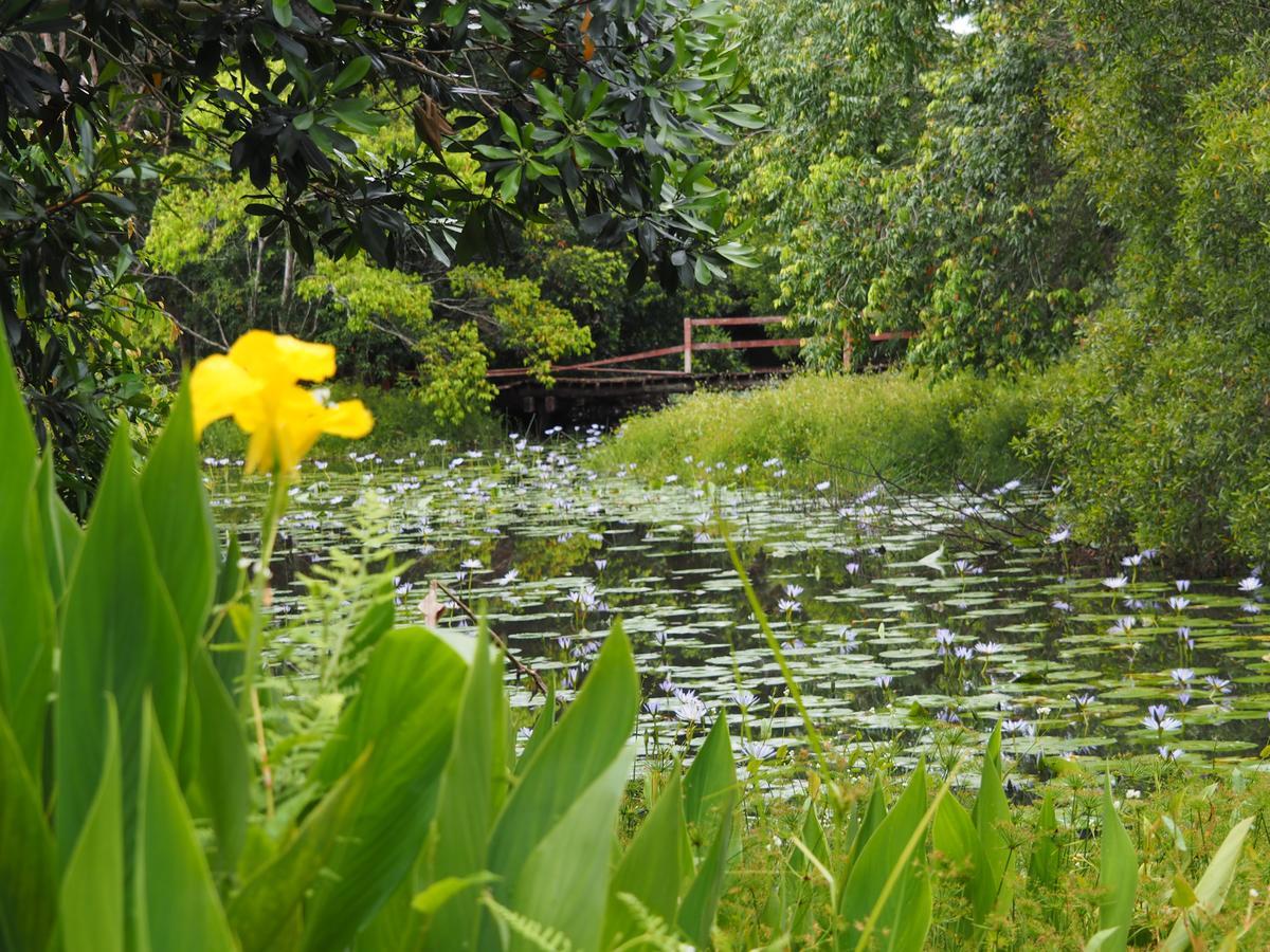 Lilypad Luxury Cabins Bellingen Ngoại thất bức ảnh